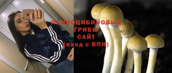 мет Осташков
