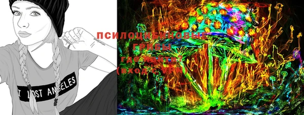 мет Осташков